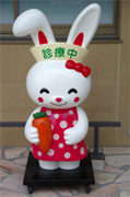 ギャラリー5