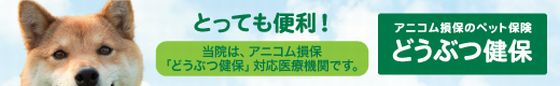 アニコム損保ペット健保