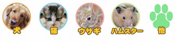 ひだまり動物病院
