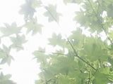 外観イメージ