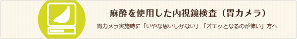 麻酔を使用した内視鏡検査（胃カメラ）