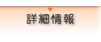 詳細情報
